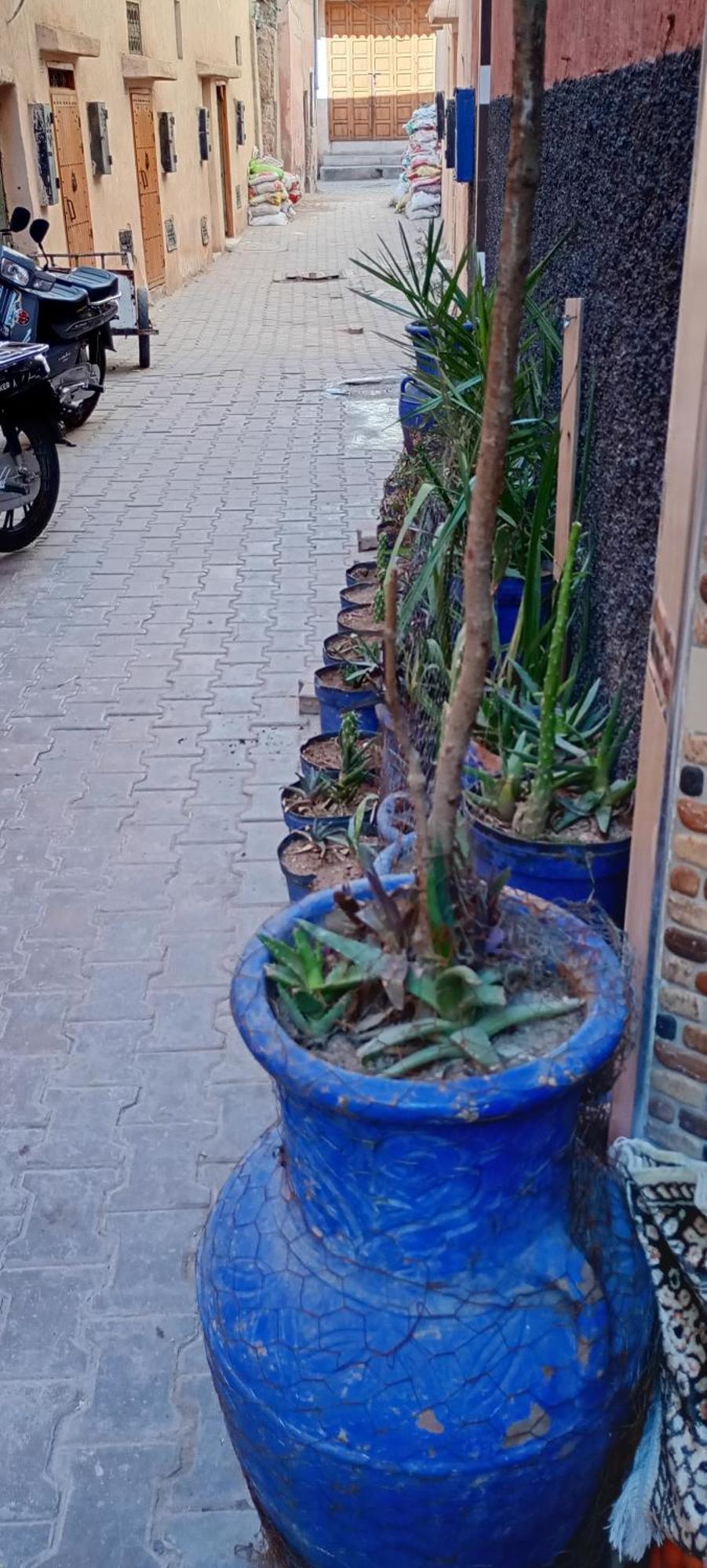 Appartamento Dar Aziz Marrakesh Esterno foto